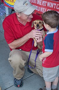 dog at pet adoption day in Greenlife